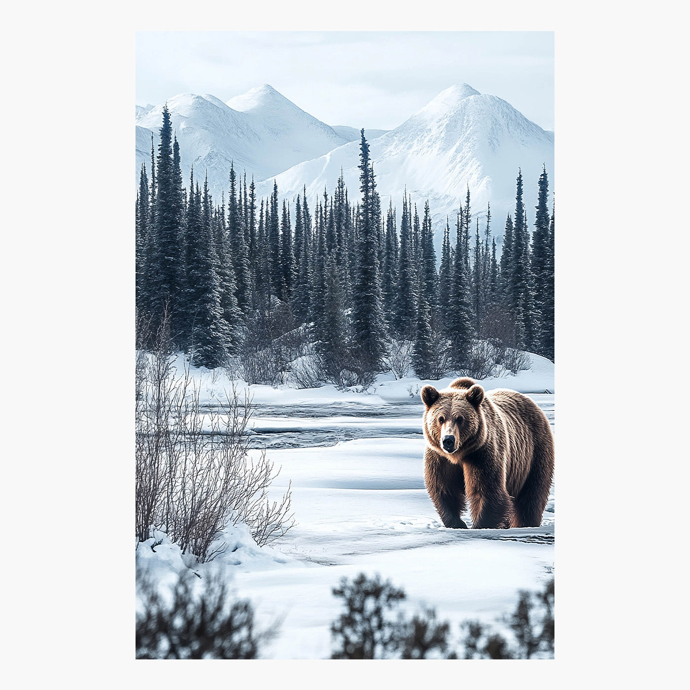 Alaskan Grizzly