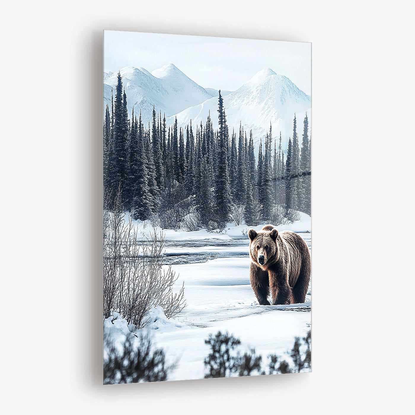 Alaskan Grizzly