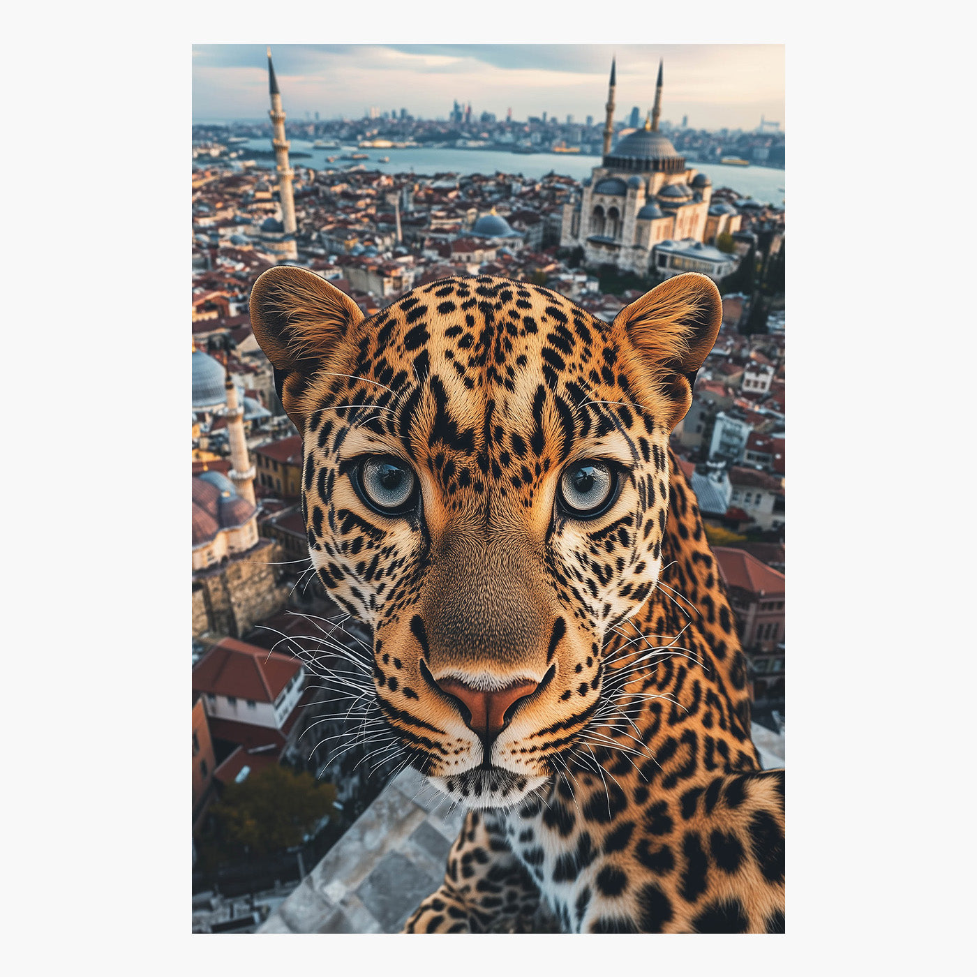 Leopard Selfie