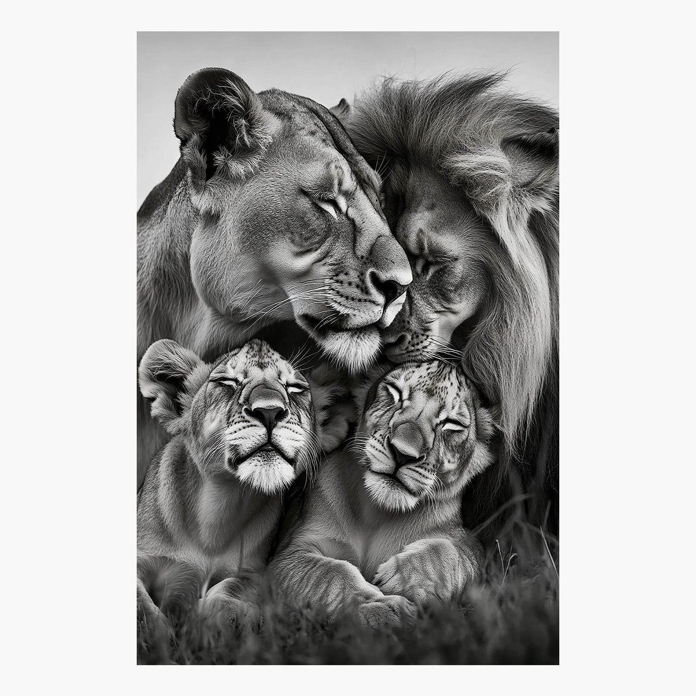 Lion Love